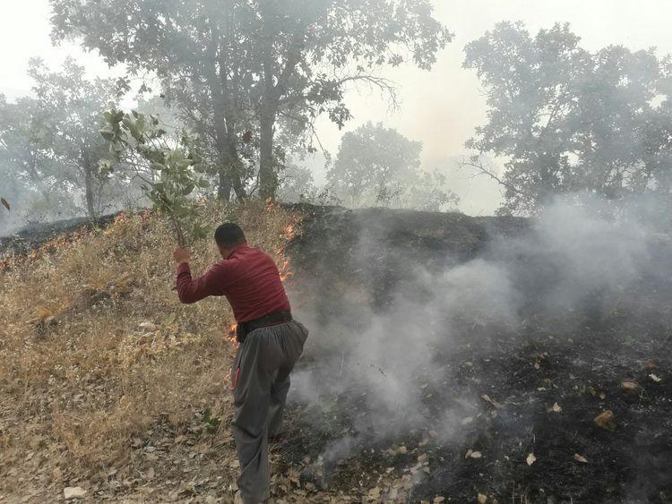 سه نفر در اثر آتش سوزی مراتع پاوه جان باختند