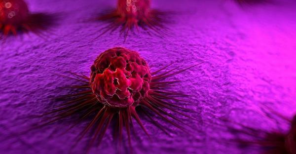 رشد و درمان تومور های مجازی گامی هم در درمان سرطان