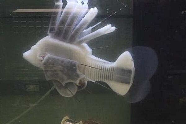 ببینید ، ماهی رباتیک در آب! ، این ماهی با خون مصنوعی حرکت می نماید