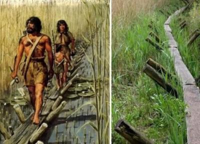 گذرگاهِ چوبی 6000 ساله؛ نمایشی از نبوغ انسان های ماقبل تاریخ